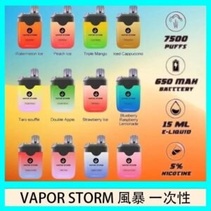 Vapor Storm風暴電子煙7500口(5%)一次性