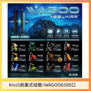 WAGOO哇酷Kiss5 6500口拋棄式 | 自由混搭雙口味 | 雙芯組合