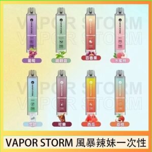 VAPOR STORM風暴辣妹一次性主機充電7500口(5%)