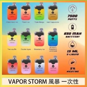 Vapor Storm風暴電子煙7500口(5%)一次性